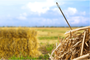 Finding Your Niche In A Haystack